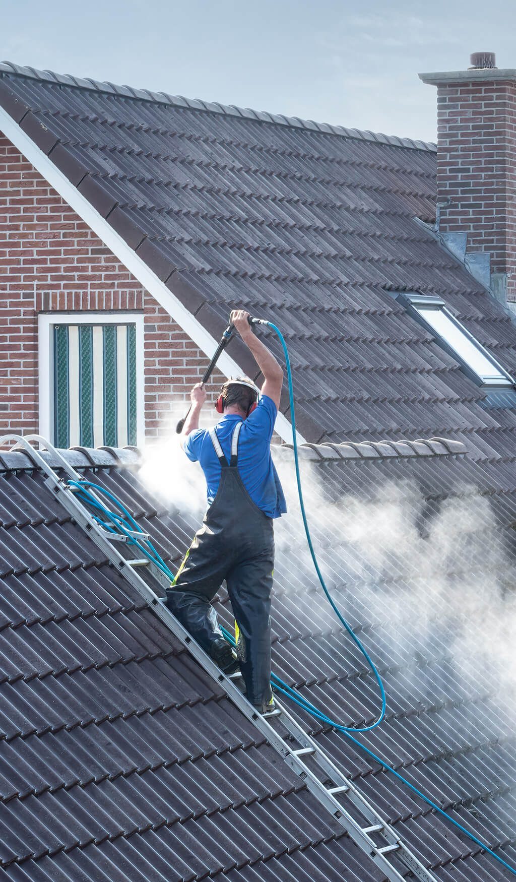 roof cleaning sub portrait